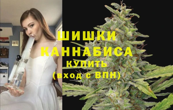 гидропоника Алексеевка