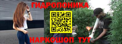 ПСИЛОЦИБИНОВЫЕ ГРИБЫ Лесосибирск