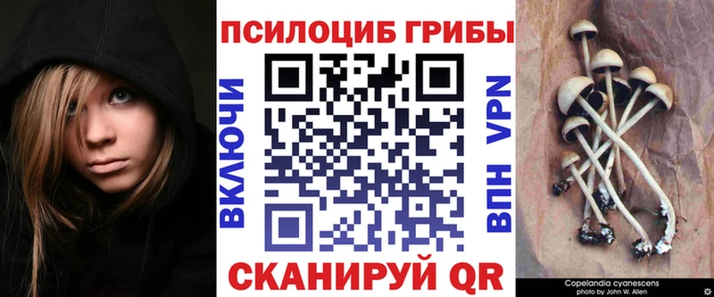 Галлюциногенные грибы GOLDEN TEACHER купить Искитим